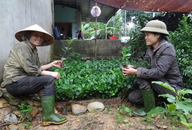 Große Freude über den eigenen Tee zum Tet-Fest in Vietnam.