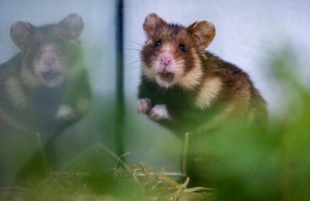 Marathon und Menschlichkeit &ndash; Menschen im Hamsterrad