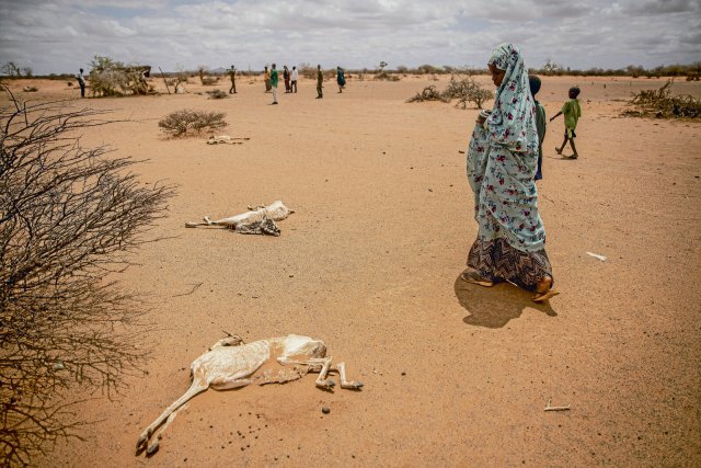 Die Auswirkungen des Klimawandels sind in Afrika gravierend: Millionen Menschen müssen in Somalia hungern und sind auf Hilfe angewiesen (unten). Auch in Madagaskar regnet es in vielen Regionen schon lange so gut wie gar nicht mehr.