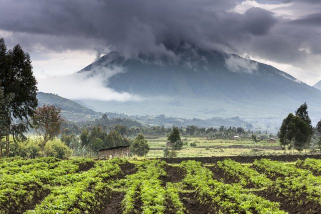 Vulkan Sabyinyo im Virunga-Nationalpark