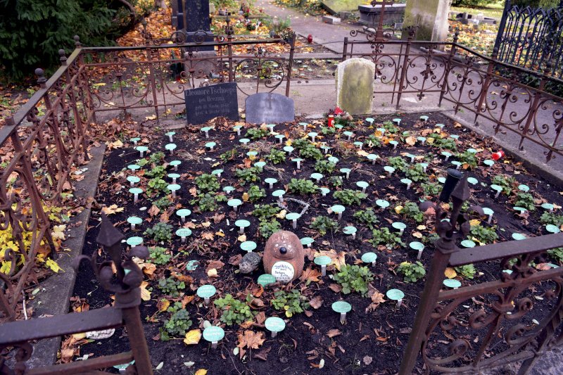 Alter Domfriedhof der St. Hedwigs-Gemeinde in Berlin: Auf den grünen Plaketten stehen die Namen der verstorbenen Menschen, ihr Geburtsjahr und ihr Todesjahr.