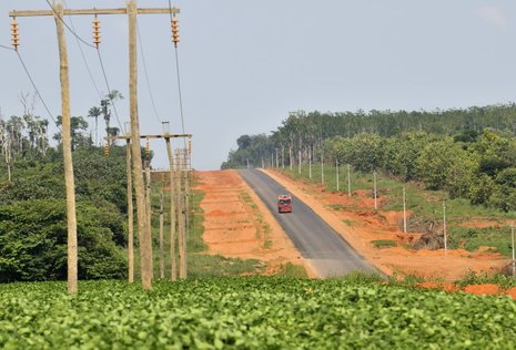 Abgeholzter Regenwald für den Sojaanbau in Brasilien.