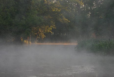 Morgenstimmung bei Krutyn